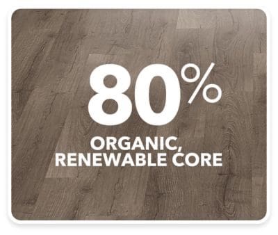 Theme Builder Layout | Giant Commercial Flooring