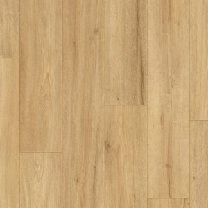 Laminate Country Asheville Oak Country Laminate - Country Asheville Oak | Giant Commercial Flooring