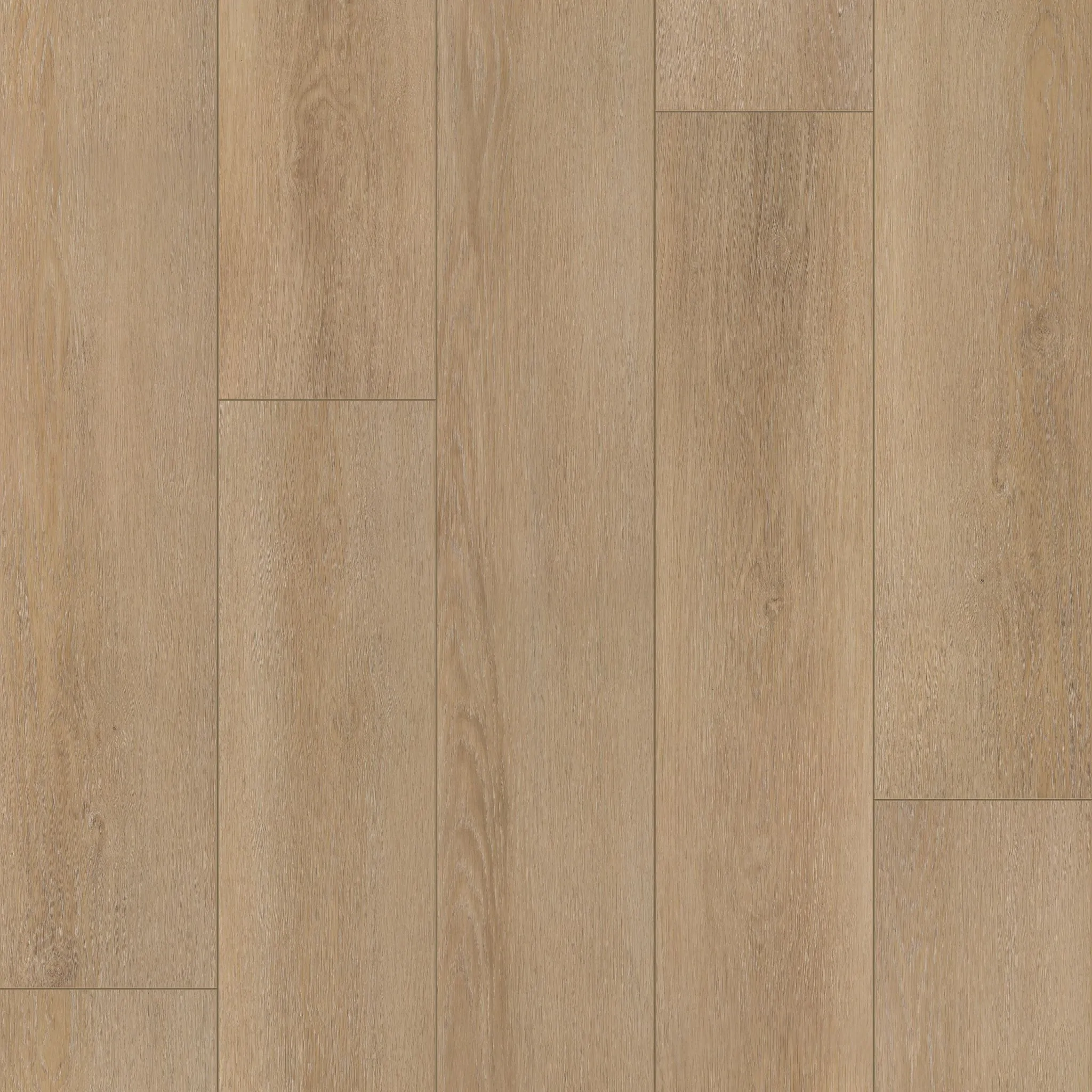 COREtec CR501 COREtec Premium Golden Veil Oak Coretec In-stock Specials - CR501 COREtec Premium Golden Veil Oak | Giant Commercial Flooring