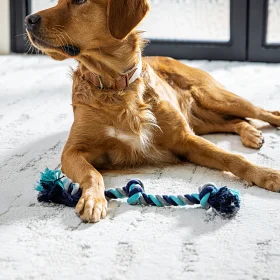 Home | Giant Commercial Flooring