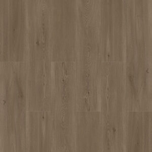 Laminate - Accord Premium Stampede | Giant Commercial Flooring