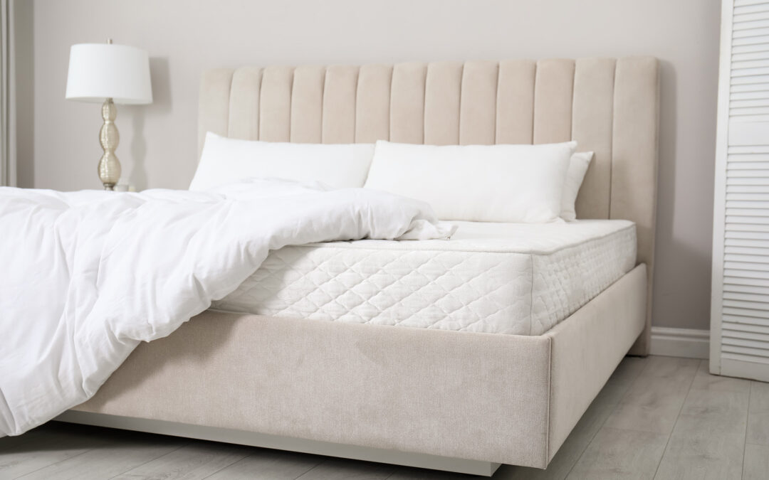 Beyond the Basic Beige: Exploring Modern Carpet Flooring Trends for 2025