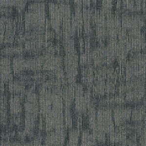 Carpet - Philadelphia Commercial Surface Works Imagine 00300_54871 | Giant Commercial Flooring