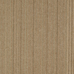 Carpet Philadelphia Commercial NULL Lucky Break Fortunate 34205_54734 Carpet - Philadelphia Commercial NULL Fortunate 34205_54734 | Giant Commercial Flooring