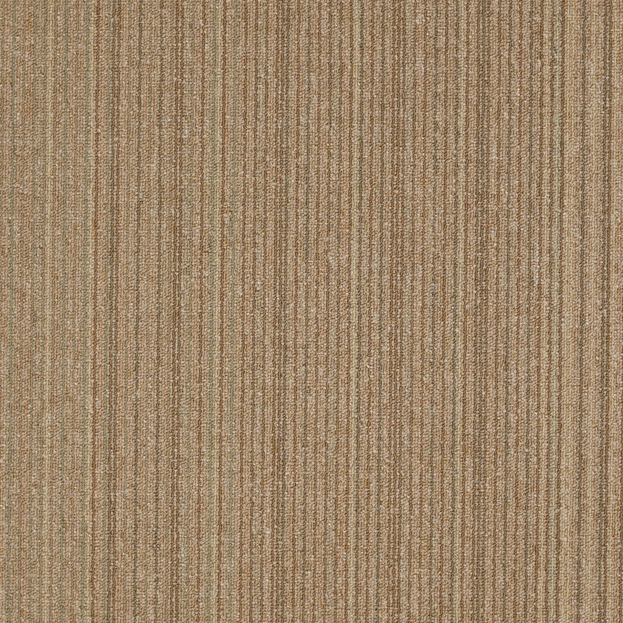 Carpet Philadelphia Commercial NULL Lucky Break Fortunate 34205_54734 Carpet - Philadelphia Commercial NULL Fortunate 34205_54734 | Giant Commercial Flooring
