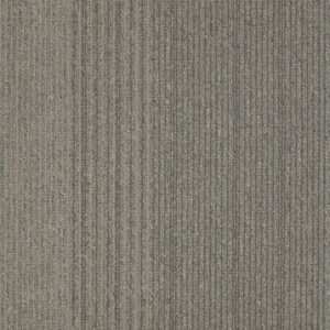 Carpet Philadelphia Commercial NULL Lucky Break Random Odds 34510_54734 Carpet - Philadelphia Commercial NULL Random Odds 34510_54734 | Giant Commercial Flooring