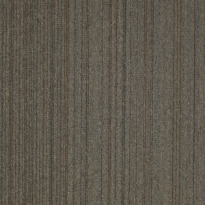 Carpet Philadelphia Commercial NULL Lucky Break Stroke Of Geniu 34520_54734 Carpet - Philadelphia Commercial NULL Stroke Of Geniu 34520_54734 | Giant Commercial Flooring