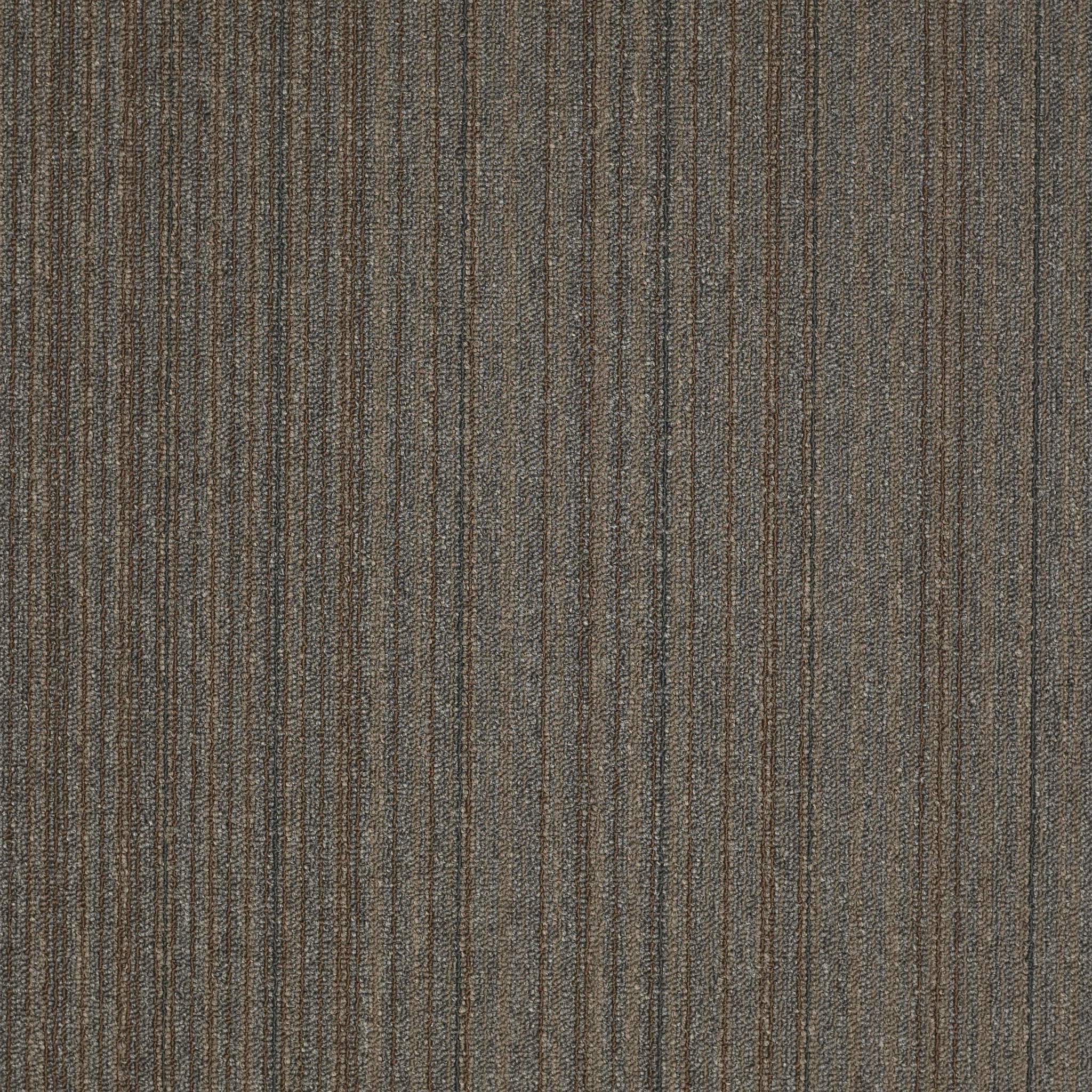 Carpet Philadelphia Commercial NULL Lucky Break Stroke Of Geniu 34520_54734 Carpet - Philadelphia Commercial NULL Stroke Of Geniu 34520_54734 | Giant Commercial Flooring