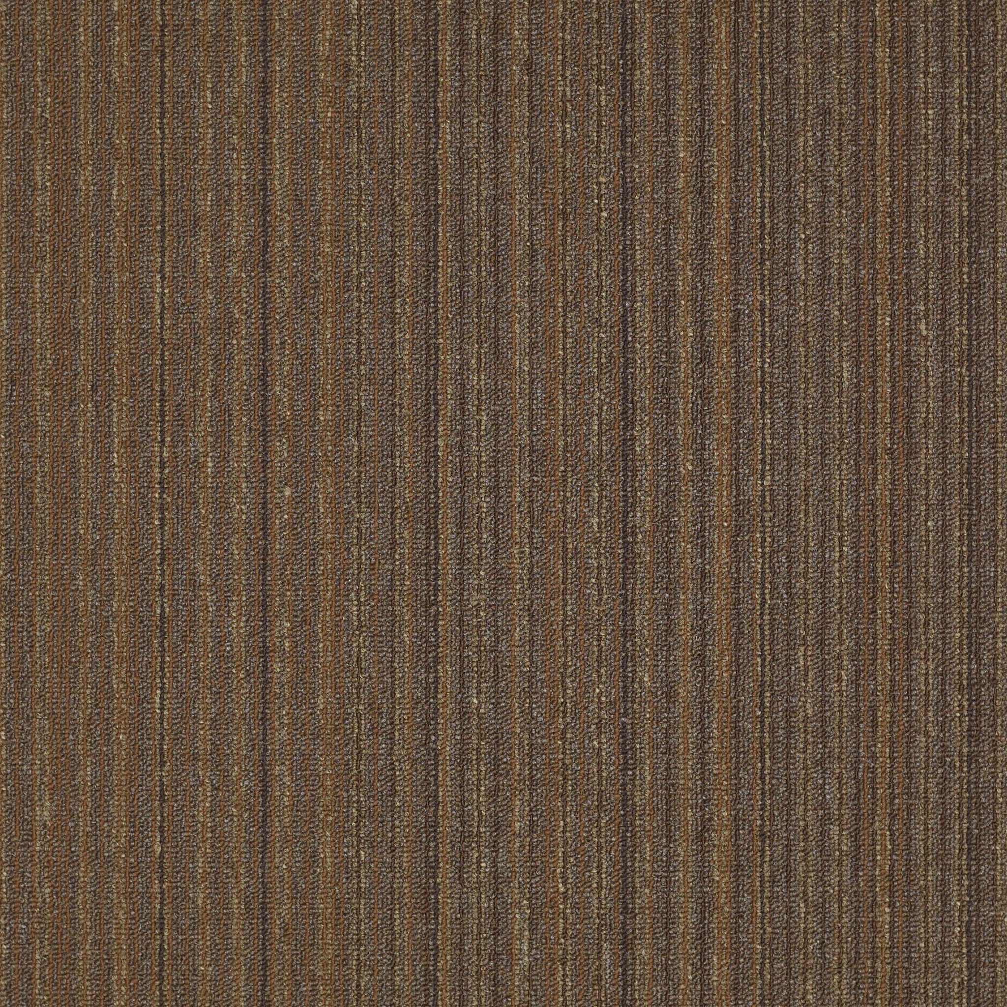 Carpet Philadelphia Commercial NULL Lucky Break It’s A Miracle 34720_54734 Carpet - Philadelphia Commercial NULL It's A Miracle 34720_54734 | Giant Commercial Flooring