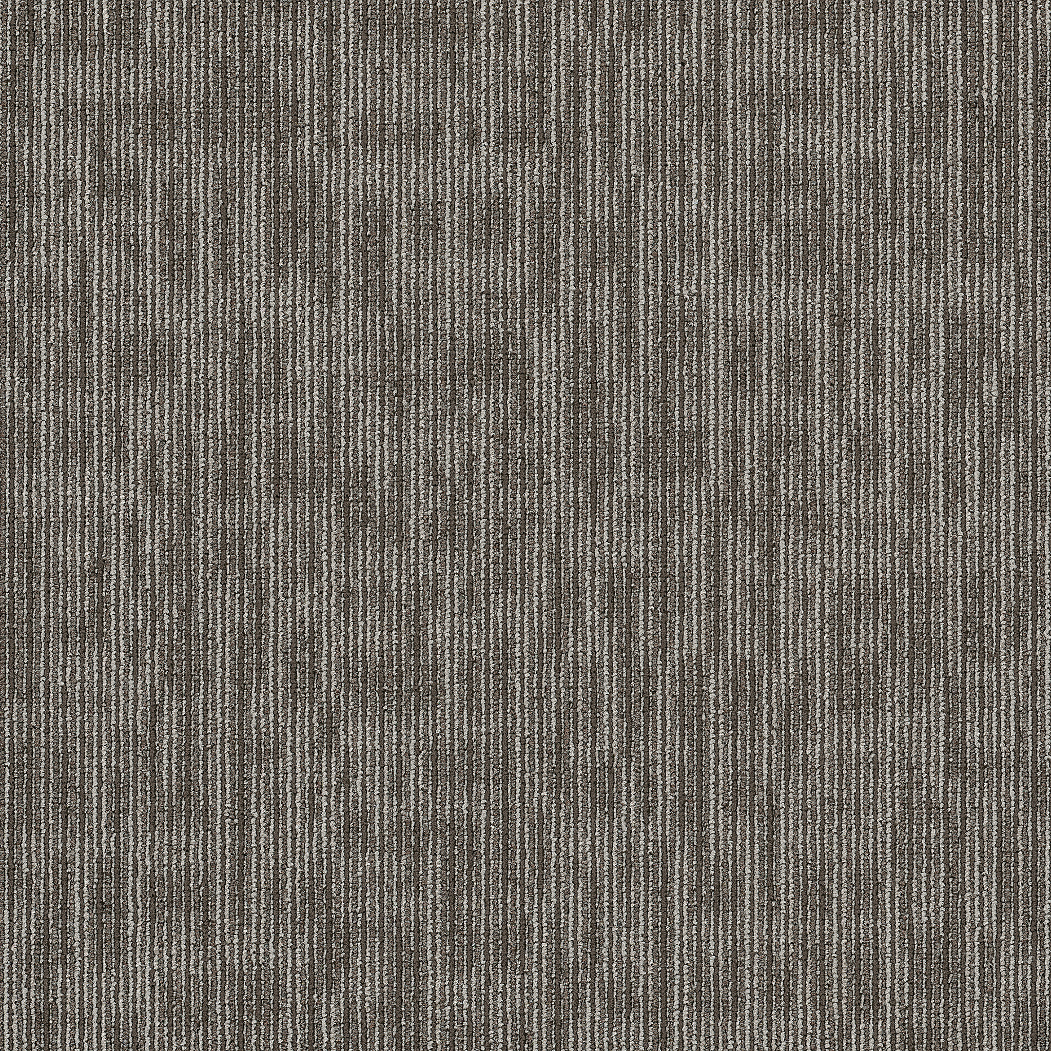 Carpet Philadelphia Commercial Design Smart Genius Smarts 44710_54844 Carpet - Philadelphia Commercial Design Smart Smarts 44710_54844 | Giant Commercial Flooring