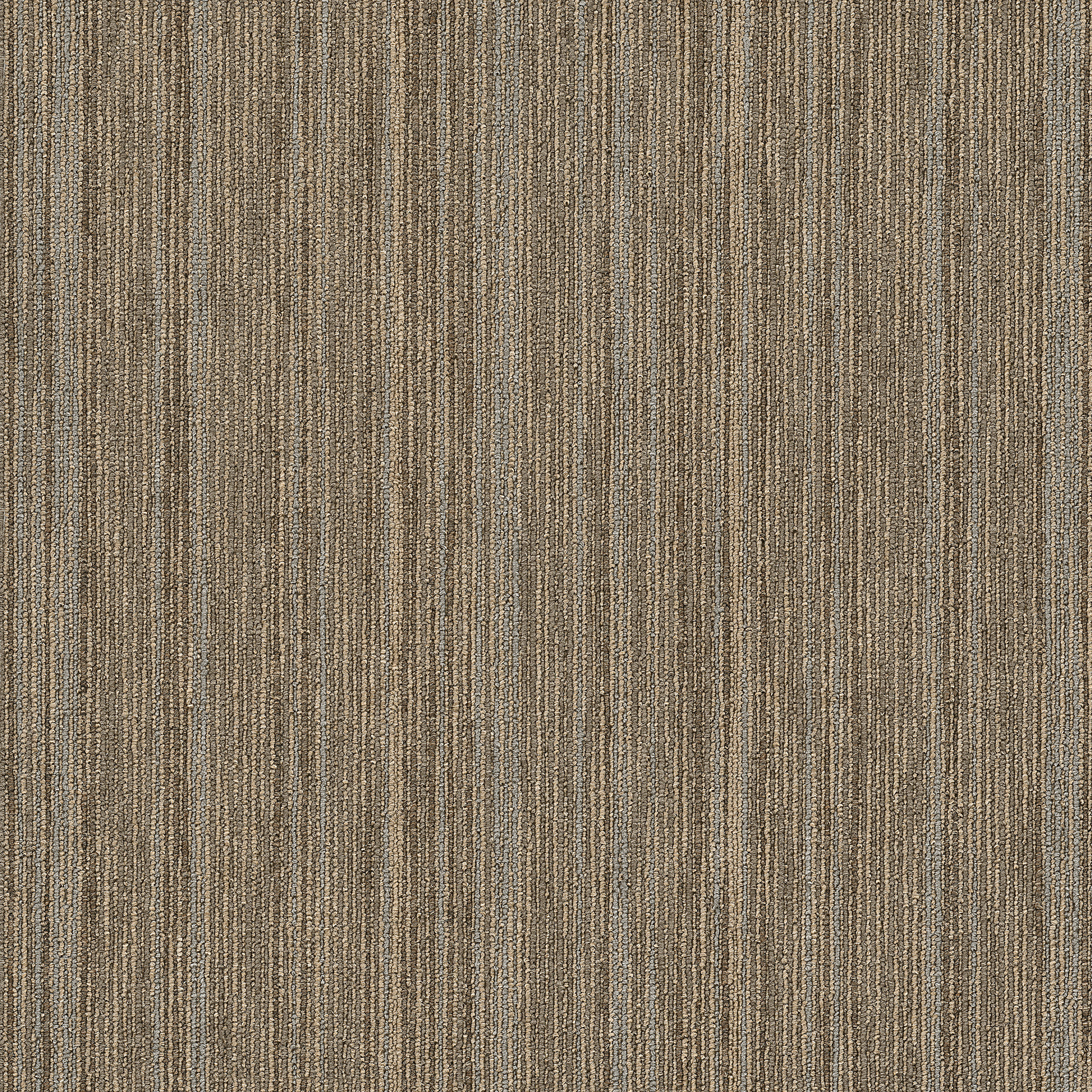 Carpet Philadelphia Commercial Design Smart Intellect Scholarly 45705_54845 Carpet - Philadelphia Commercial Design Smart Scholarly 45705_54845 | Giant Commercial Flooring