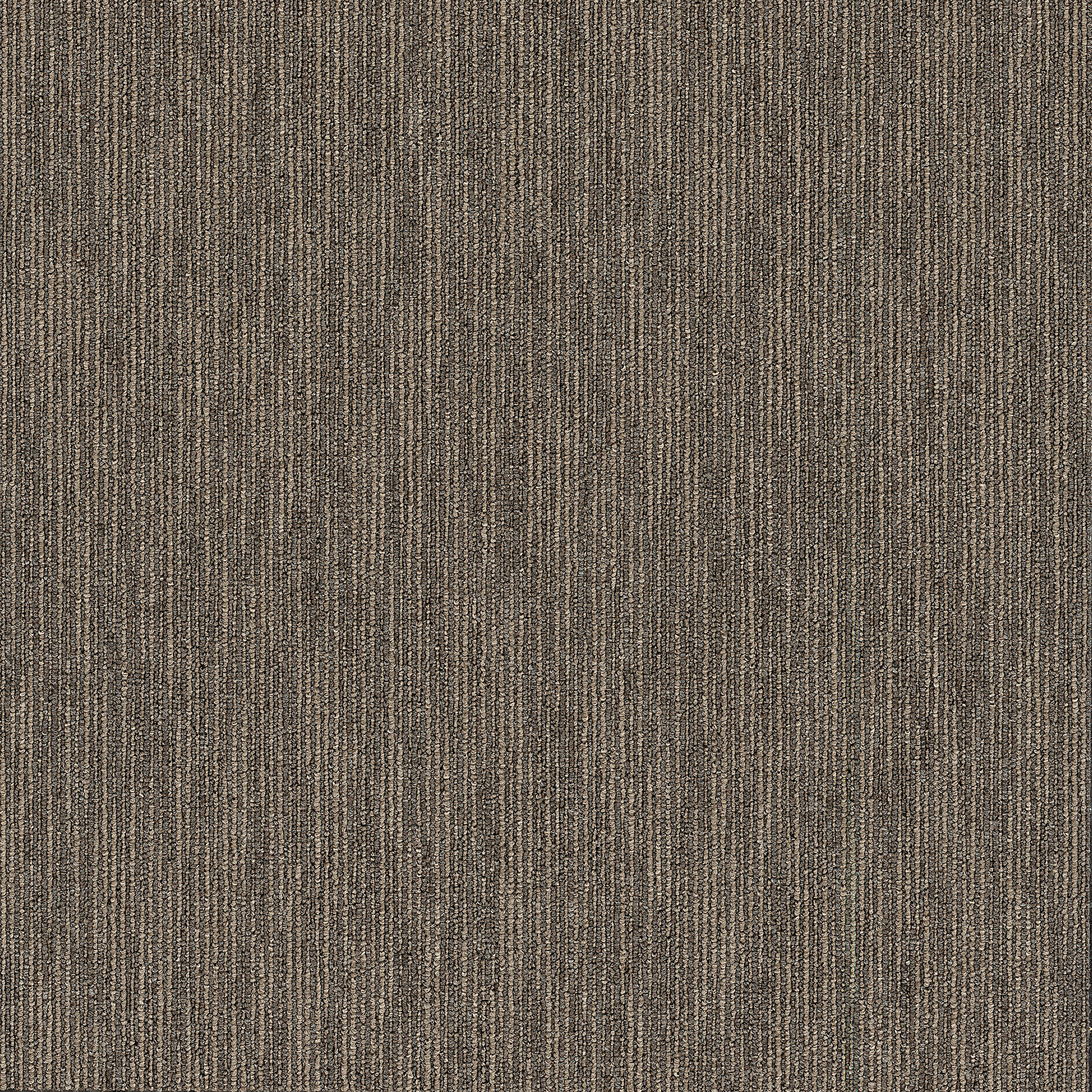 Carpet Philadelphia Commercial Design Smart Dynamo Smarts 57710_54857 Carpet - Philadelphia Commercial Design Smart Smarts 57710_54857 | Giant Commercial Flooring