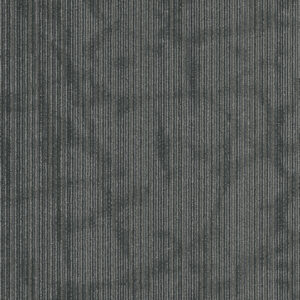 Carpet Philadelphia Commercial Beyond The Wall Collection Hipster Tag 00500_54895 Carpet - Philadelphia Commercial Beyond The Wall Collection Tag 00500_54895 | Giant Commercial Flooring