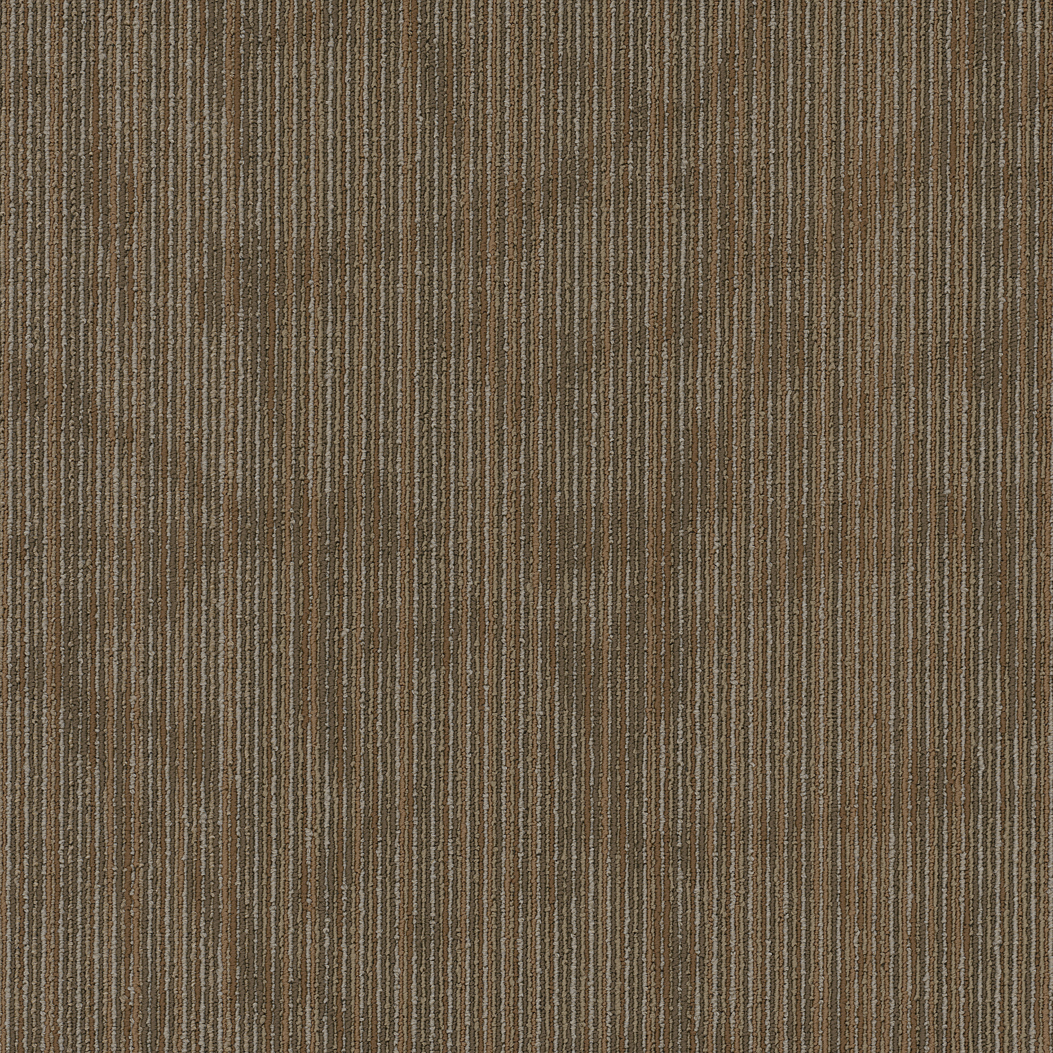 Carpet Philadelphia Commercial Beyond The Wall Collection Hipster Raw 00700_54895 Carpet - Philadelphia Commercial Beyond The Wall Collection Raw 00700_54895 | Giant Commercial Flooring