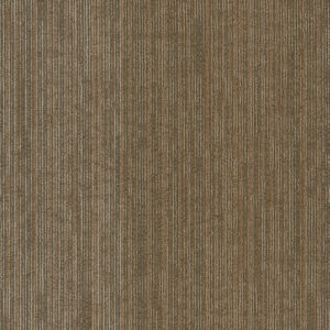 Carpet Philadelphia Commercial Beyond The Wall Collection Off Beat Raw 00700_54896 Carpet - Philadelphia Commercial Beyond The Wall Collection Off Beat Raw 00700_54896 | Giant Commercial Flooring