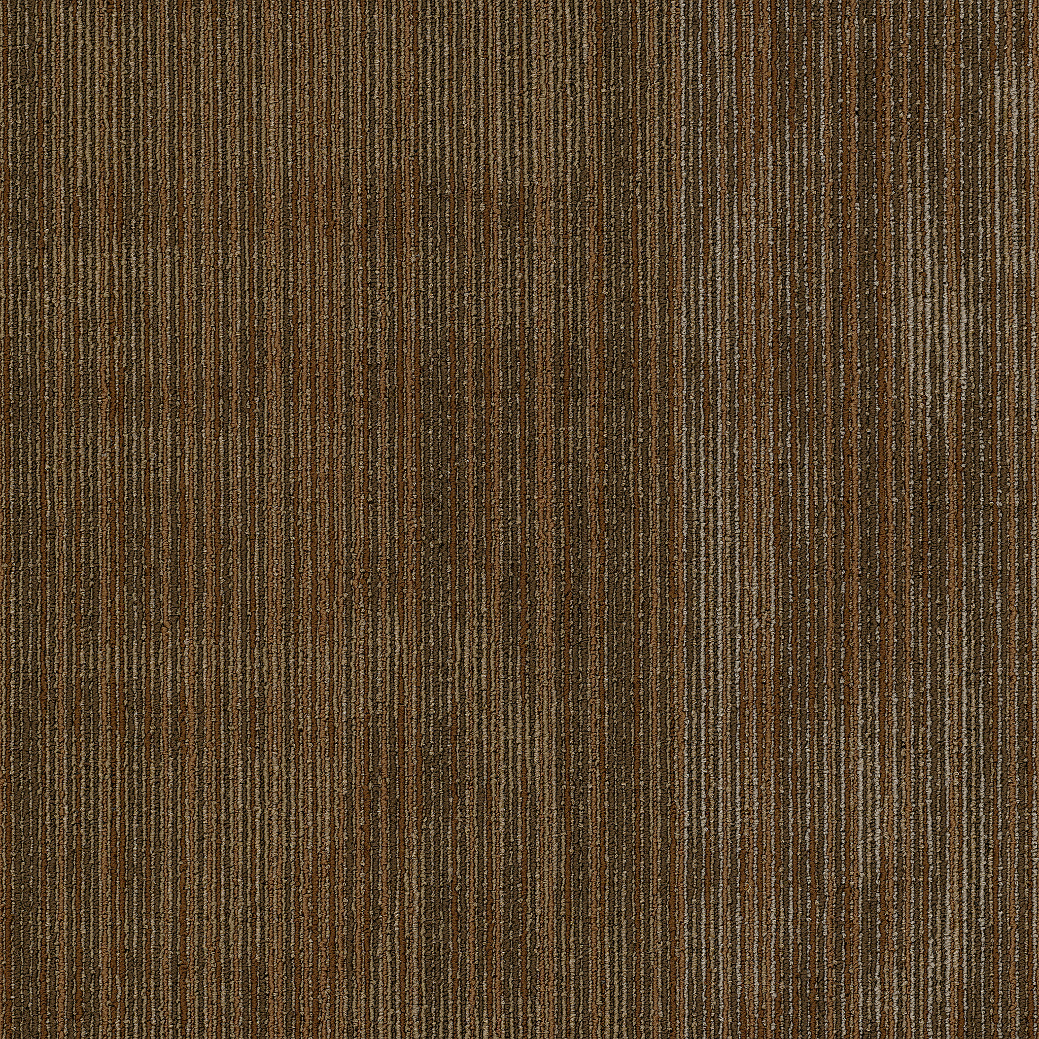 Carpet Philadelphia Commercial Beyond The Wall Collection Wildstyle Raw 00700_54897 Carpet - Philadelphia Commercial Beyond The Wall Collection Raw 00700_54897 | Giant Commercial Flooring